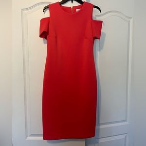 Calvin Klein Dress